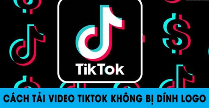 tải video TikTok tại DownTik.com